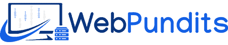 Web Pundits